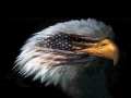 eagle-flag