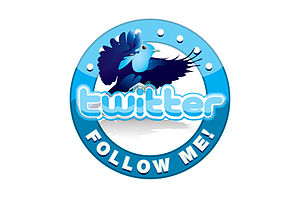 Follow me on Twitter logo